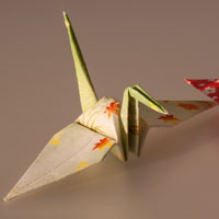 What Origami Crane looks like.
